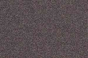 Ковровая плитка Interface Biosfera Boucle 7875 Ambra фото  | FLOORDEALER